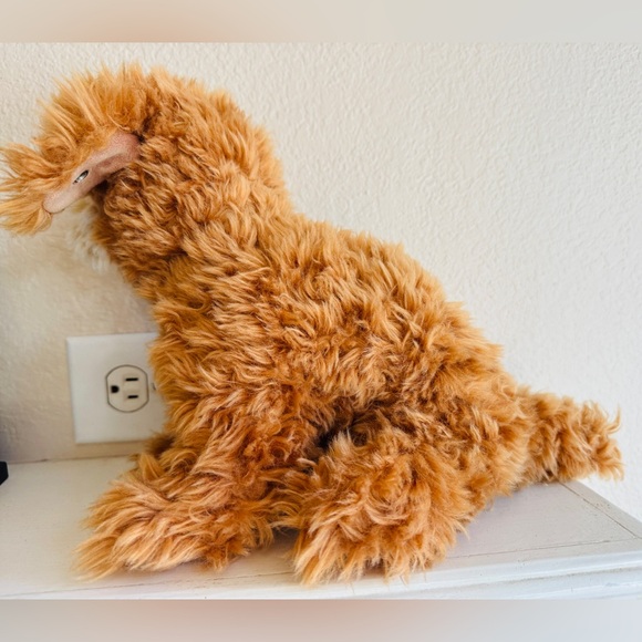 Curlie Cockapoo Puppy - Picture 4 of 7